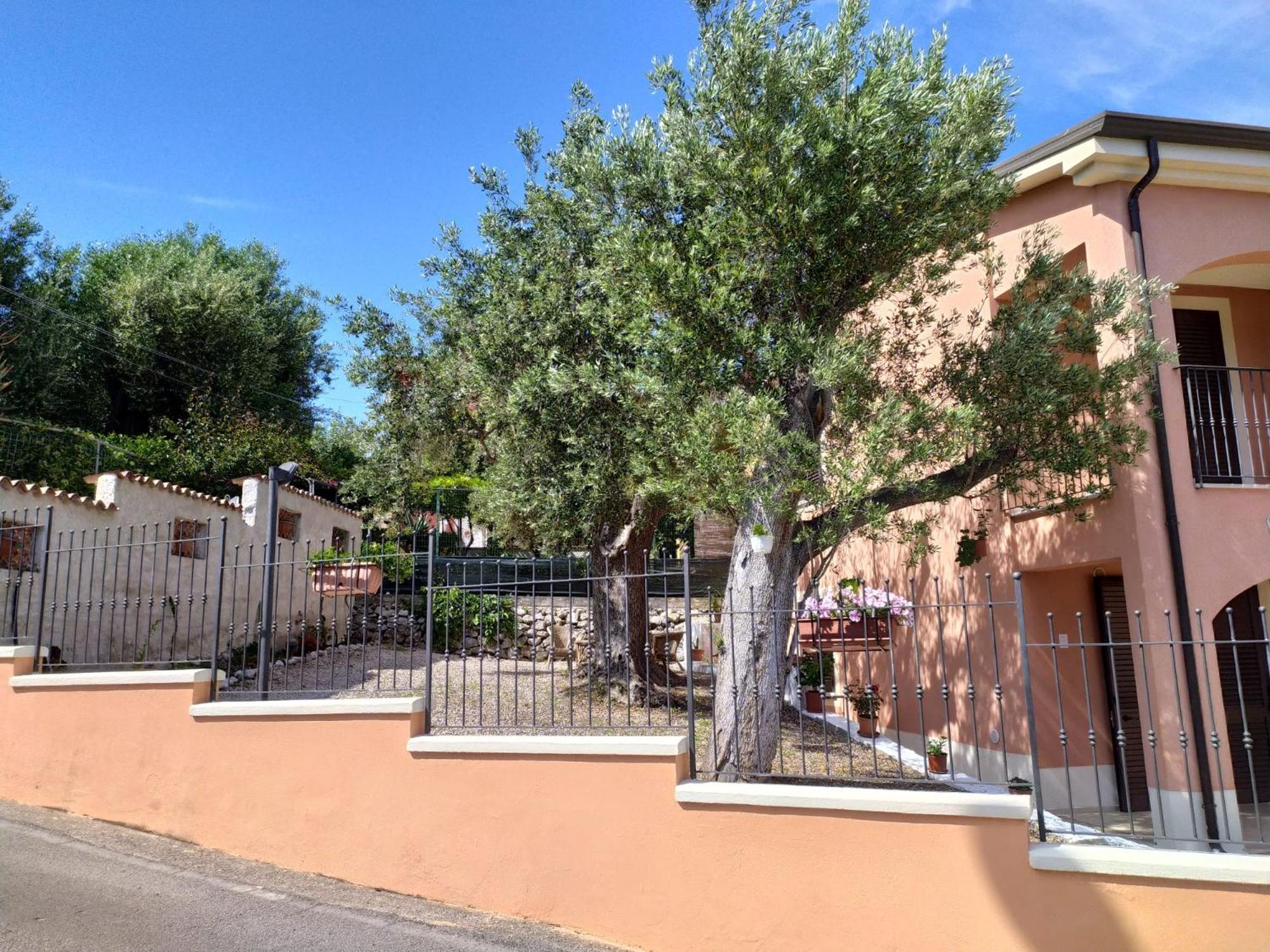 Russo Marina di Camerota
